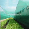 Greenhouse Plastic PP PE Anti Insect/ Bird Net